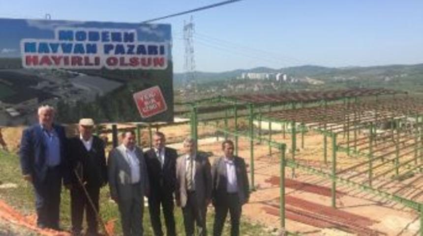 İzmit Belediyesi&rsquo;nin Modern Hayvan Pazarı B&uuml;y&uuml;k İlgi G&ouml;r&uuml;yor