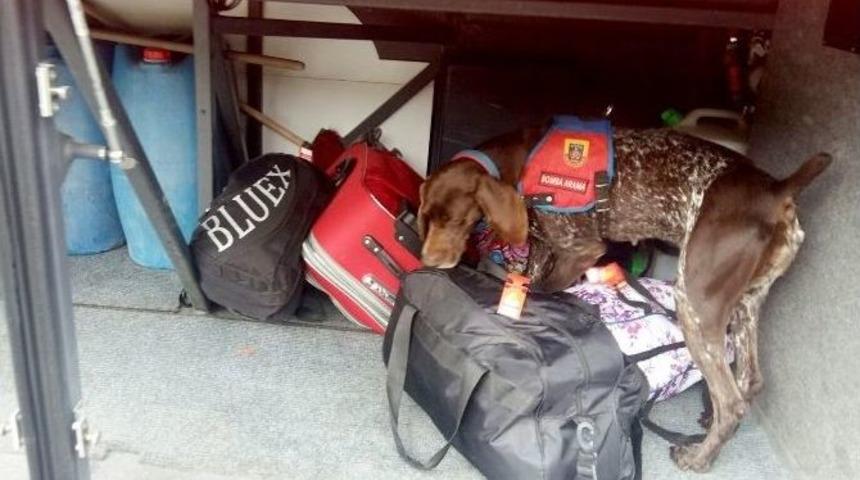 Narkotik K&ouml;peklerden Ka&ccedil;ış Yok