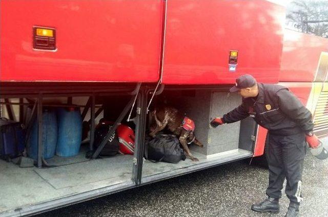 Narkotik Köpeklerden Kaçış Yok