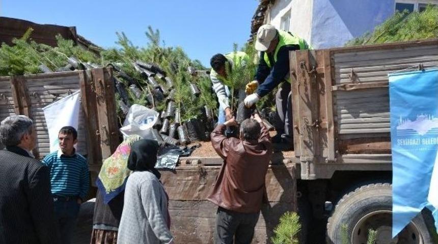 Seyitgazi Belediyesi 10 Bin Fidan Dağıttı