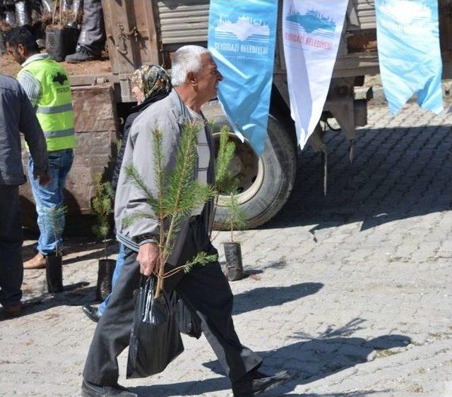 Seyitgazi Belediyesi 10 Bin Fidan Dağıttı