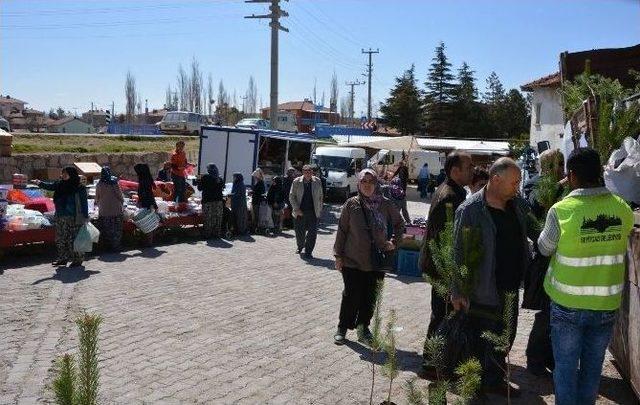 Seyitgazi Belediyesi 10 Bin Fidan Dağıttı