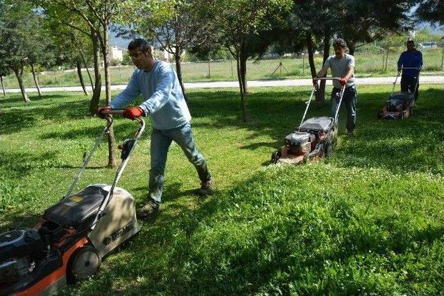 Yunusemre’de Çim Biçme Çalışmaları