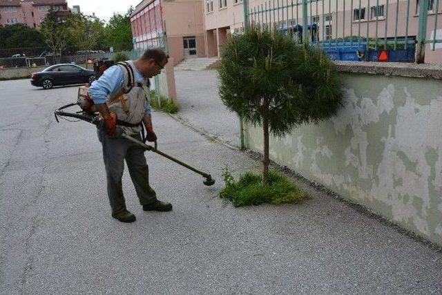 Yunusemre’de Çim Biçme Çalışmaları