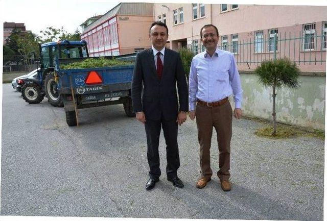 Yunusemre’de Çim Biçme Çalışmaları