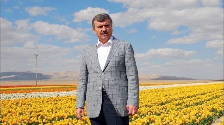 Konya&rsquo;da Lale Mevsimi