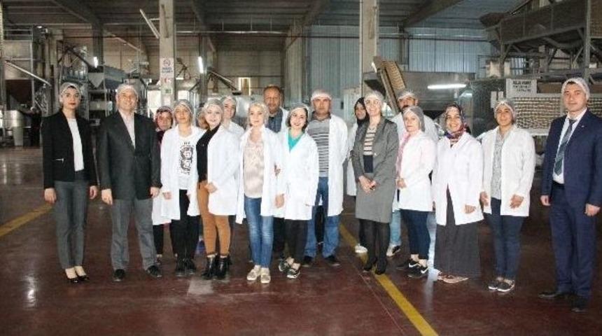 Ga&uuml;n&rsquo;l&uuml; &Ouml;ğrencilerden Gıda Fabrikasına Teknik Gezi
