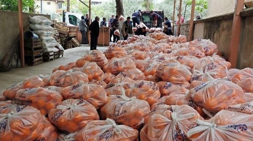&Ccedil;er&ccedil;ioğlu, &Uuml;reticiye Destek İ&ccedil;in 35 Ton Portakal Satın Aldı