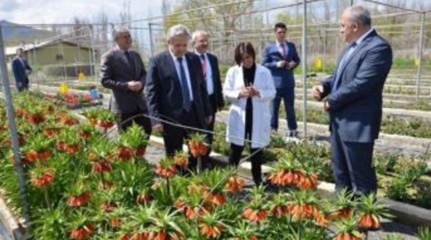 Vali Kahraman; &ldquo;kendi Lalelerimizi &Uuml;retip D&uuml;nya Pazarında Yer Alacağız&rdquo;