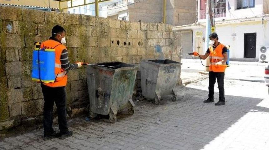 Ceylanpınar&rsquo;da Kara Sinek İle M&uuml;cadele