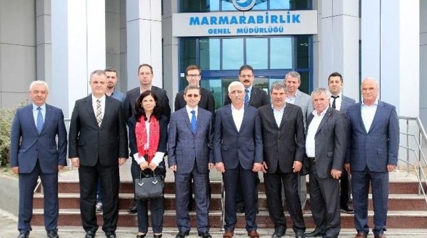 Marmarabirlik&rsquo;ten D&uuml;nyaya &Ouml;rnek Proje