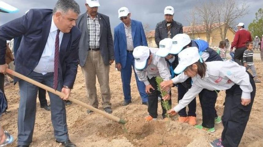 Ereğli&rsquo;de Fidan Dikim Etkinliği