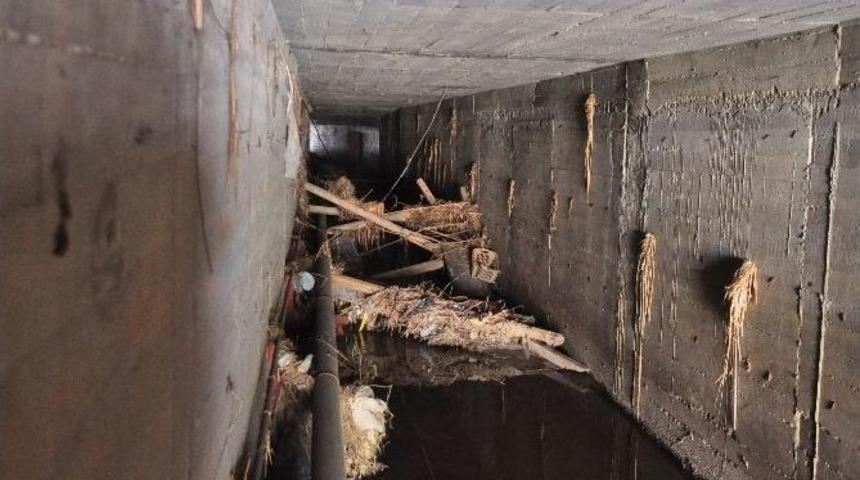 Manavgat&rsquo;ta Menfezlerin İ&ccedil;inin Kalaslarla Kapatıldığı İddiası