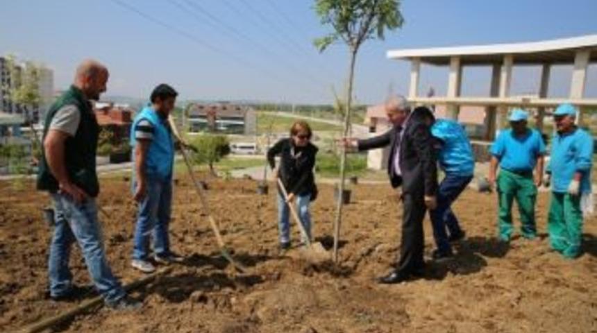 Nil&uuml;fer&rsquo;de Yeşil Alanlar &Ccedil;oğalıyor