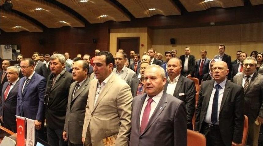 İhracat&ccedil;ılardan Zeytinyağı Fiyatı &Ccedil;ıkışı