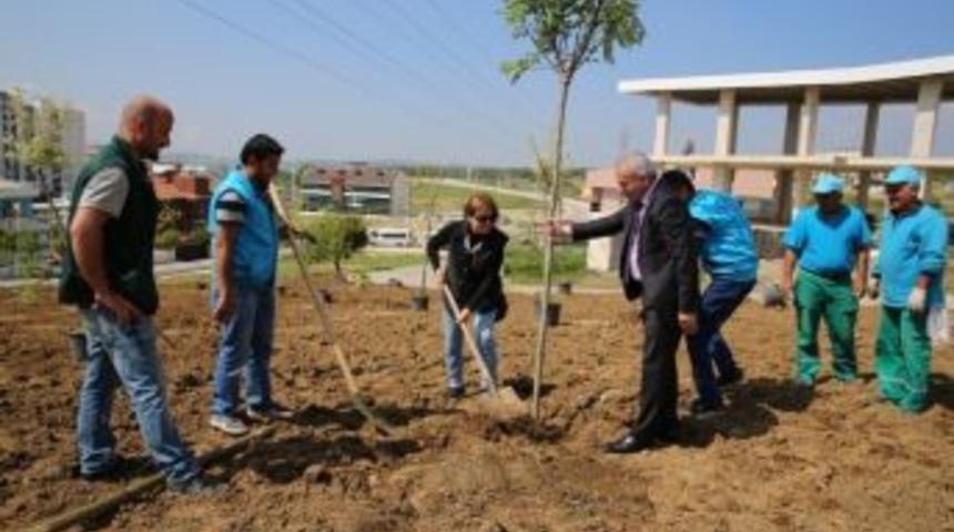 Boyalıca&rsquo;da &Ccedil;evre D&uuml;zenlemesi