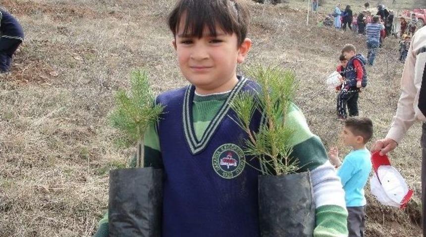 Yozgat&rsquo;ta İlkokul Birinci Sınıf &Ouml;ğrencileri Fidan Dikti