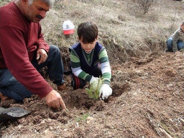 Yozgat’ta İlkokul Birinci Sınıf Öğrencileri Fidan Dikti