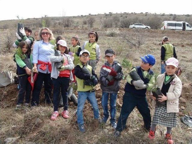 Yozgat’ta İlkokul Birinci Sınıf Öğrencileri Fidan Dikti