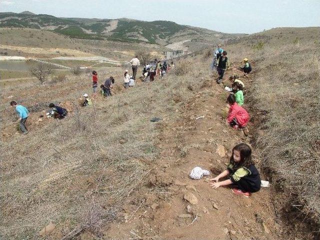 Yozgat’ta İlkokul Birinci Sınıf Öğrencileri Fidan Dikti