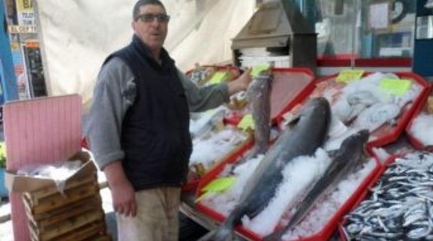 Mudanyalı Balıkçı Birbirinden İlginç Balıkları Sergiliyor