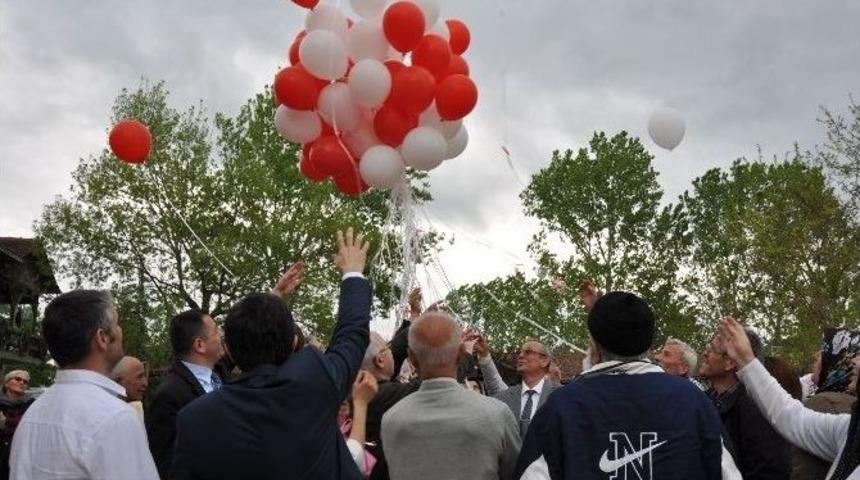 Parkinson Hastaları İ&ccedil;in Anlamlı Etkinlik