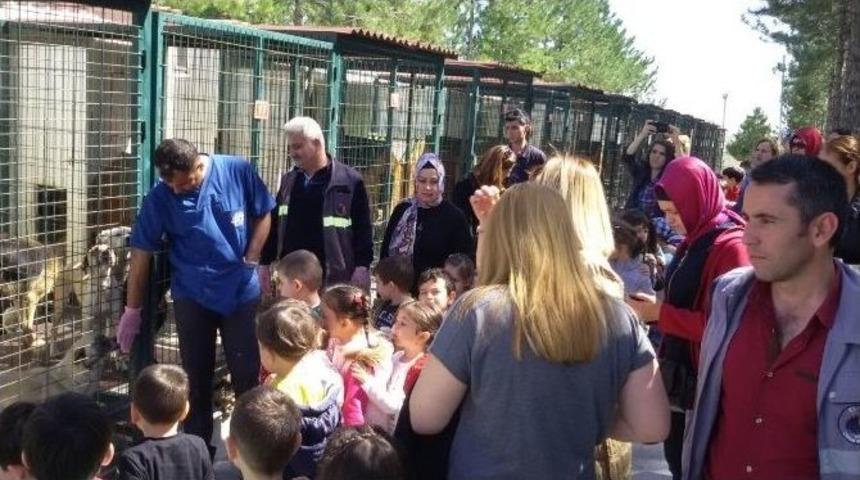 Minikler Hayvan Bakımevini Ziyaret Etti