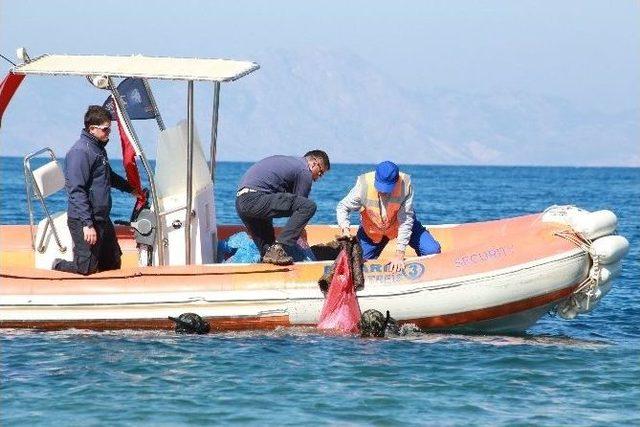 Deniz Dibi Temizliği Kadıkalesi’nde Devam Etti