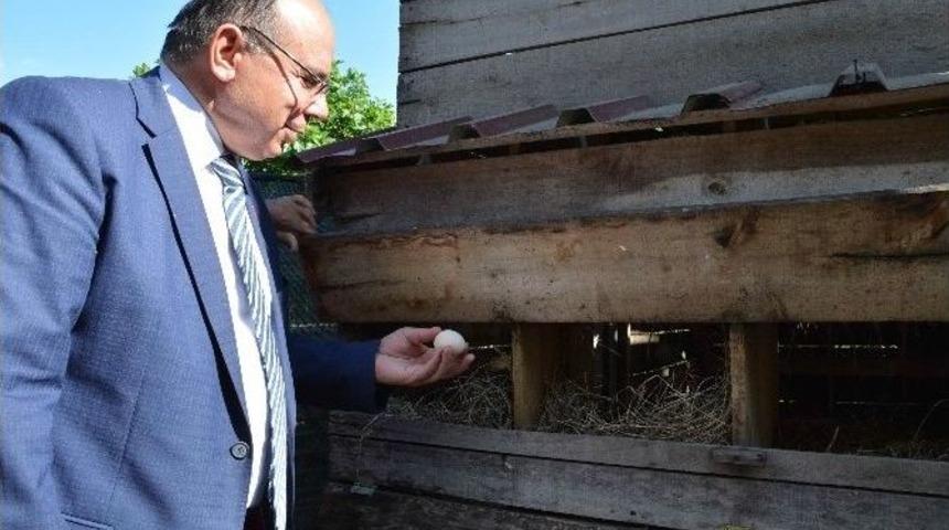 Vali &Ccedil;i&ccedil;ek, Organik K&ouml;yde Vatandaşlarla Buluştu