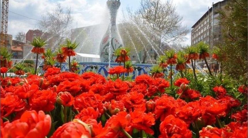 K&uuml;tahya &Ccedil;i&ccedil;ek A&ccedil;tı