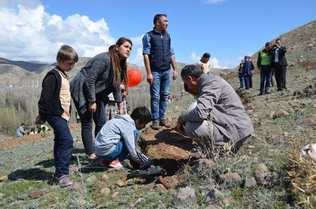 Narman’da Öğrencilerin Ağaç Dikme Sevinci