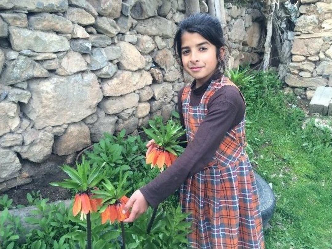 H&uuml;z&uuml;n &Ccedil;i&ccedil;ekleri Ters Laleler A&ccedil;maya Başladı