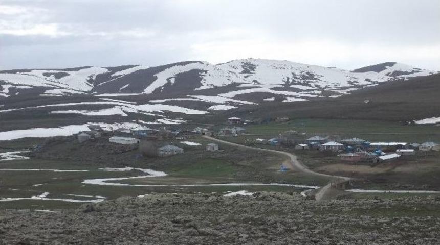 3 &Ccedil;ocuğa Mezar Olan Toprak Damlı Evin Yerine Konteyner