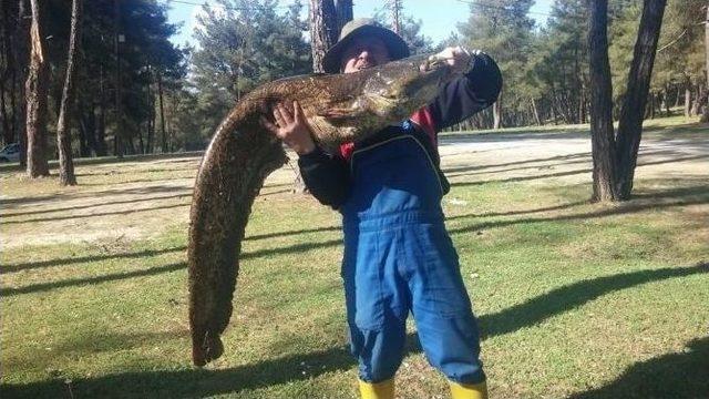 Oltaya Takılan Dev Yayın Görenleri Şaşkına Çevirdi