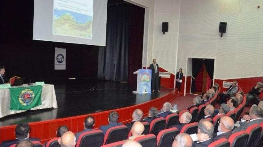 Fatsa&rsquo;da &lsquo;modern Fındık Yetiştiriciliği&rsquo; Anlatıldı