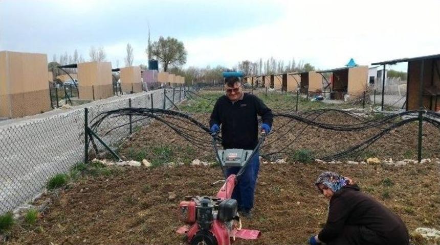 Beyşehir&rsquo;de Hobi Bah&ccedil;elerinde Sezon Başladı