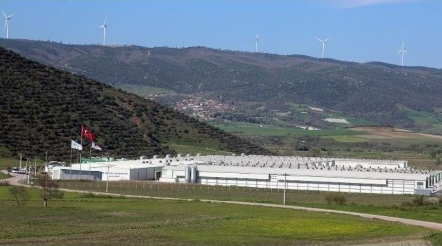 Bursa İl Gıda Tarım Ve Hayvancılık M&uuml;d&uuml;r&uuml; &Ouml;mer &Ccedil;elik, Burdan Yumurta Tesislerine Hayran Kaldı