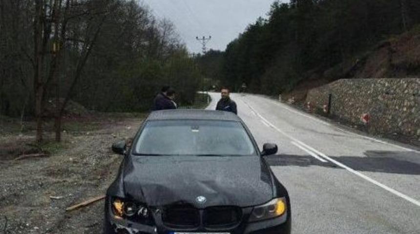 Otomobilin &Ccedil;arptığı Geyik Telef Oldu