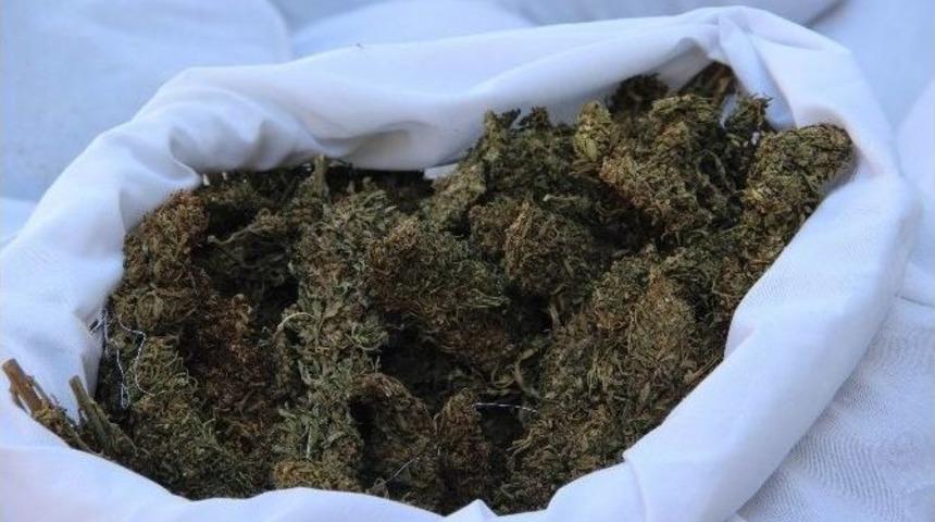 Diyarbakır&rsquo;da 287 Kilo Esrar Ele Ge&ccedil;irildi