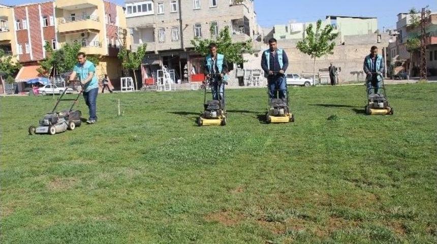 Eyy&uuml;biye&rsquo;de Yeşil Alanlara Bakım &Ccedil;alışmaları Devam Ediyor