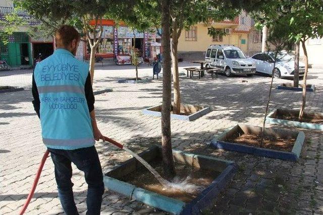 Eyyübiye’de Yeşil Alanlara Bakım Çalışmaları Devam Ediyor