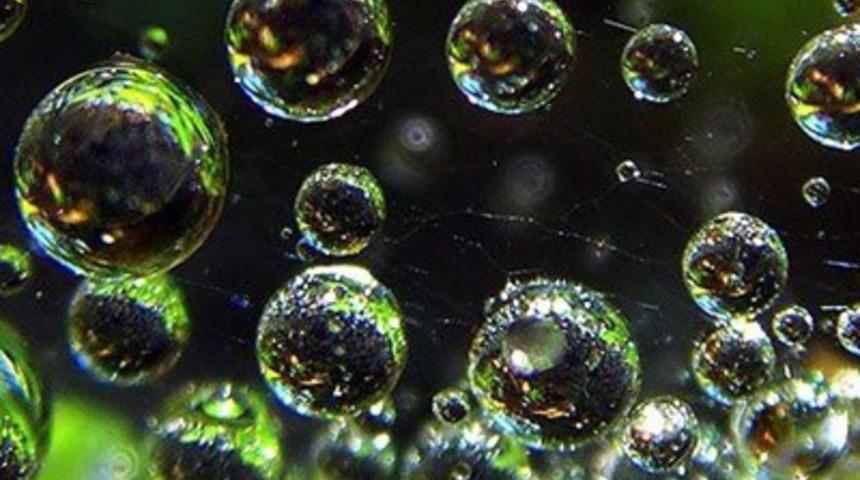 Doğanın gizemli dokumaları!