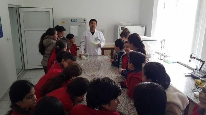 Minik &Ouml;ğrenciler Patates Enstit&uuml;s&uuml;n&uuml; Gezdi