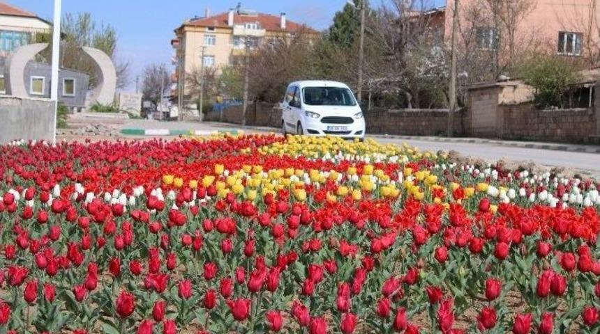 B&uuml;nyan 20 Bin Lale İle Renklendi