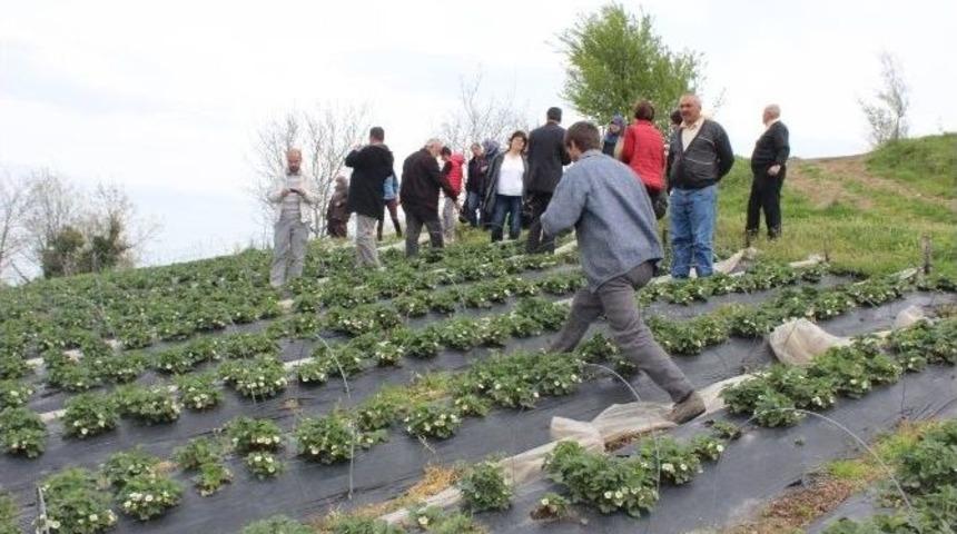 &rsquo;&ccedil;ilek &Uuml;retimi Geliştirme Projesi&rsquo; Kapsamında İnceleme Gezisi