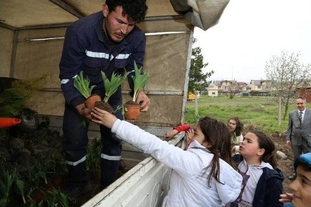 4000 Adet Çam İle Çınar Fidanları Toprakla Buluştu