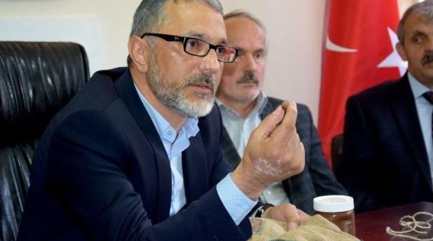 Giresun Ziraat Odası Fındık Fiyatına Tepkisi S&uuml;r&uuml;yor