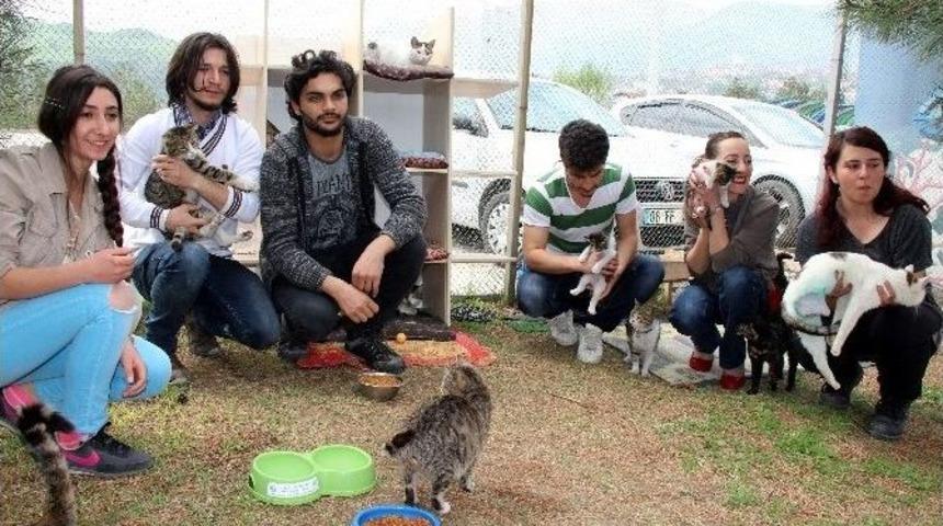 Hayvansever &Ouml;ğrencilerden Anlamlı Proje