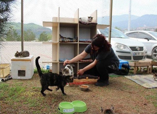 Hayvansever Öğrencilerden Anlamlı Proje