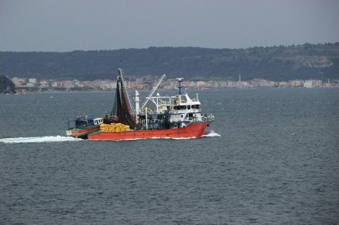 Av Yasağı Başlıyor, Balık&ccedil;ılar D&ouml;n&uuml;yor